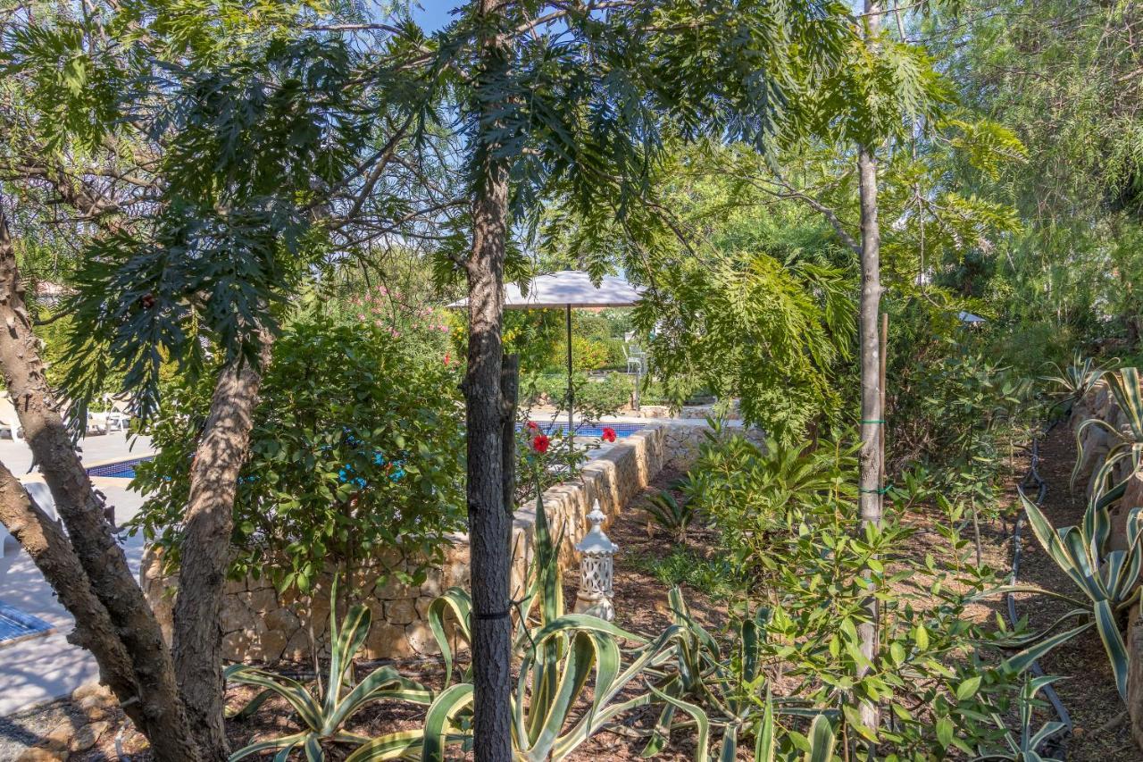 Farm Of Dreams Algarve Villa Almancil Exteriör bild